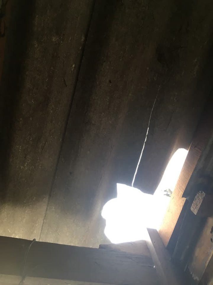 53721435_301451430531556_4672934124674088960_n.jpg